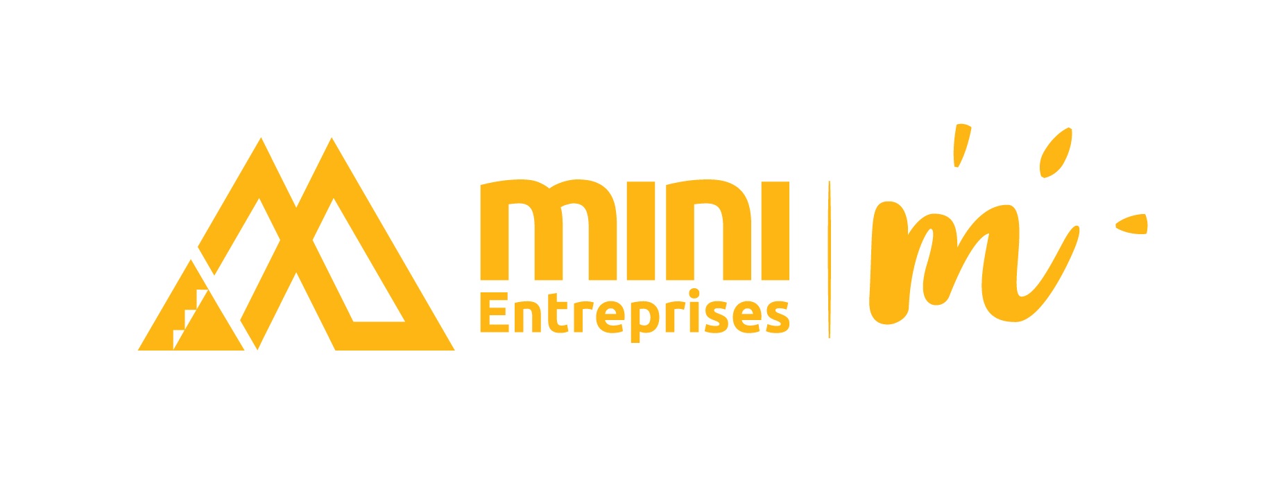 Mini-Entreprise® M