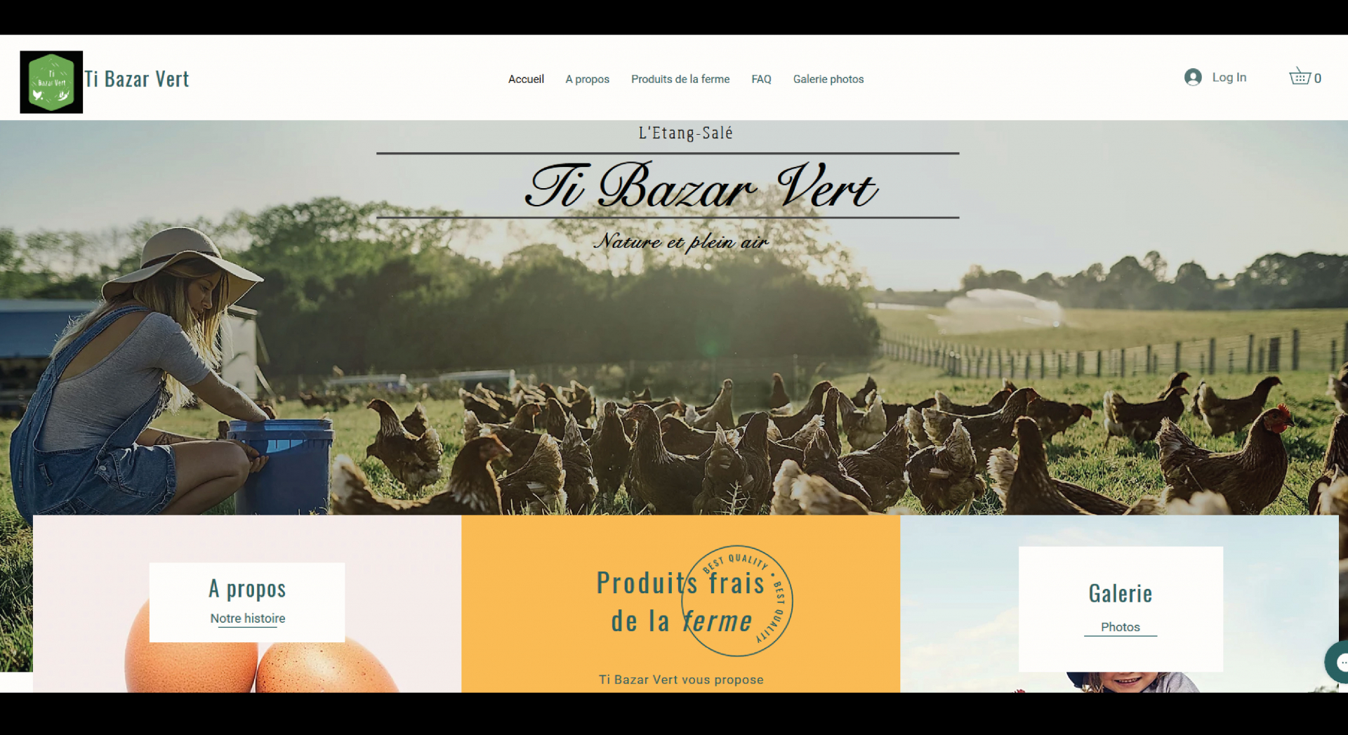 Visuel du site Ti'Bazar Vert