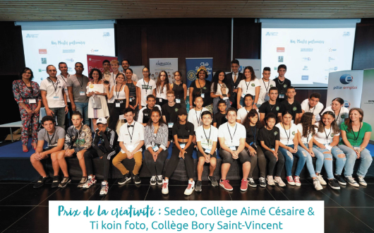 Prix de la créativité : Sedeo, Collège Aimé Césaire et Ti koin foto, Collège Bory Saint-Vincent