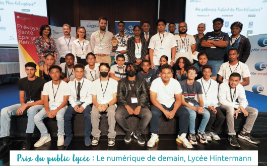 Prix du public lycée : Le numérique de demain, lycée Hintermann