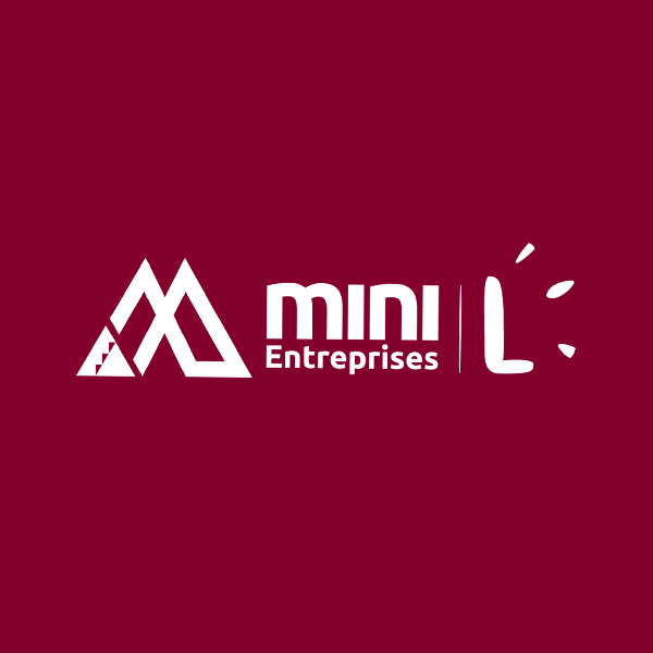 La Mini-Entreprise L le parcours en un an