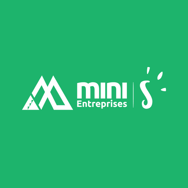 La Mini-Entreprise S en une journée