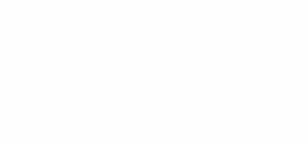 logo blanc