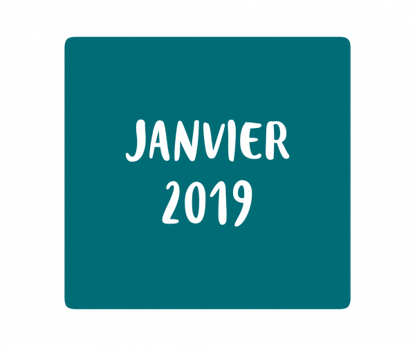 Newsletter Janvier 2019 Entreprendre Pour Apprendre Grand Est