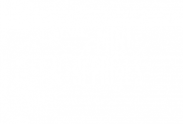 Festival des Mini-Entreprises