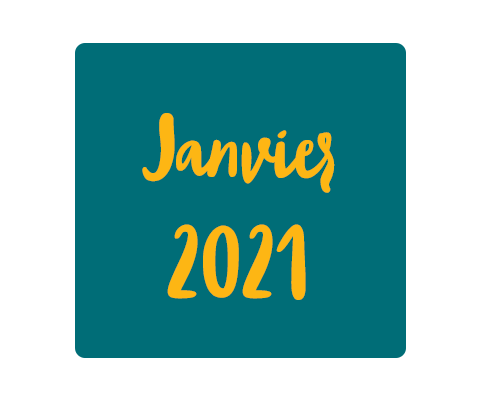 Newsletter Janvier 2021