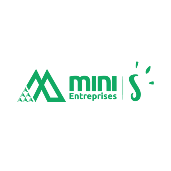 Mini-Entreprise S