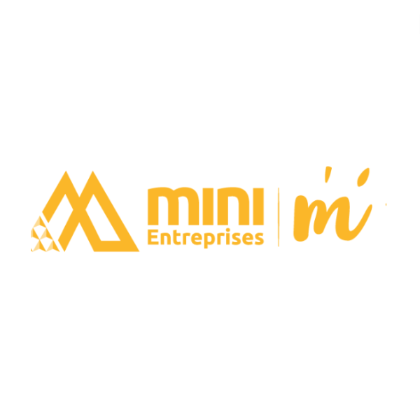 Mini-Entreprise M