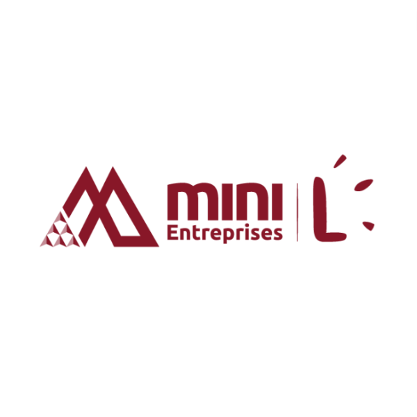 Mini-Entreprise L