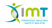 logo Groupe IMT