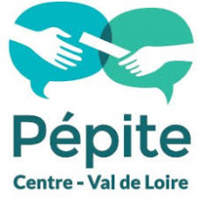 logo pepite