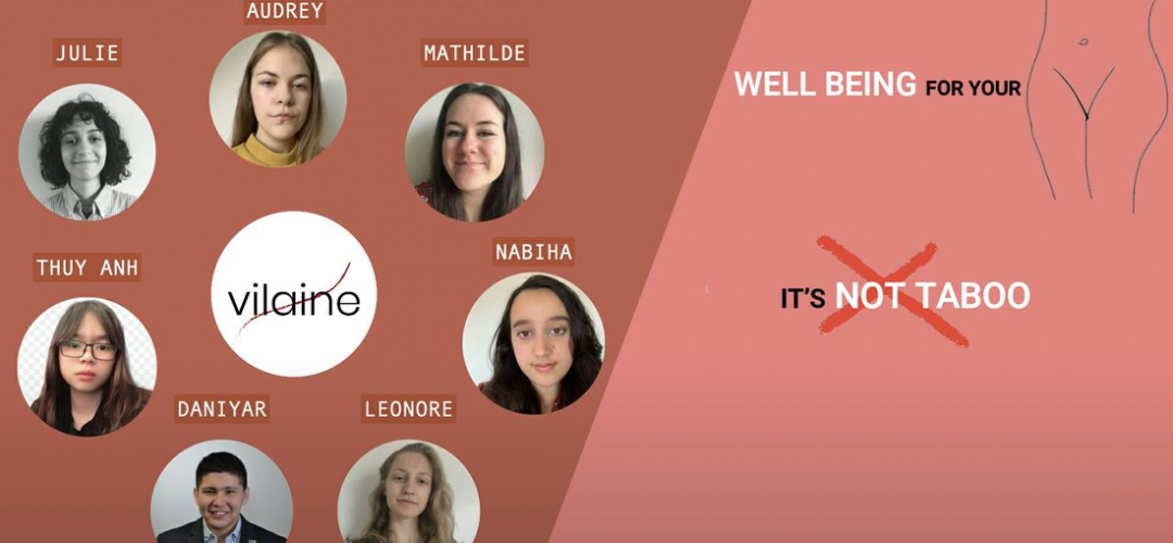 Vilaine – Serviettes hygiéniques